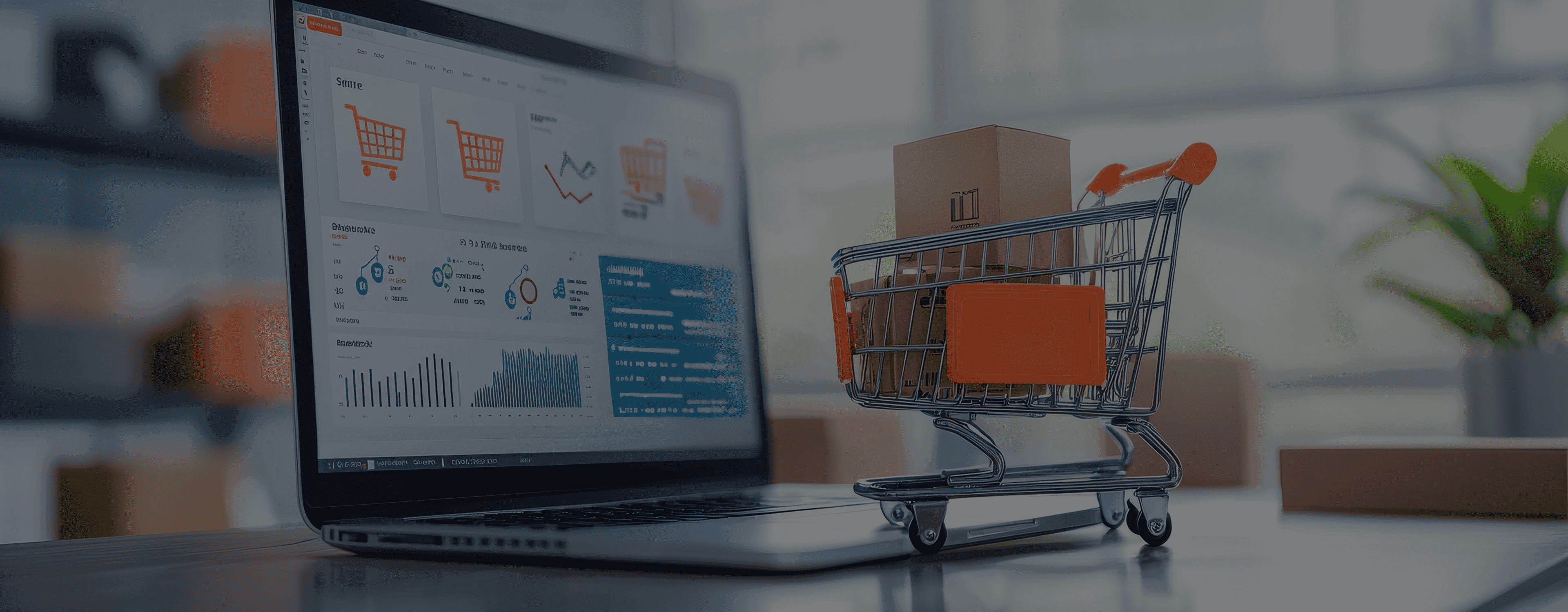 Ecommerce