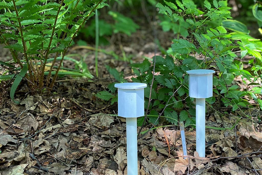 Smart ecosystem monitoring: IoT-powered environmental insights