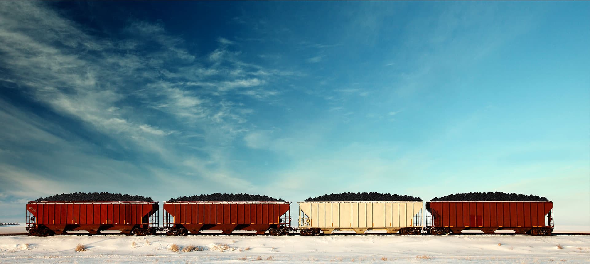 Efficient logistics: Building Ridera's automated ERP system